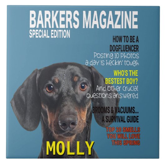 Carreau Couverture du magazine Dachshund Parody (Devant)
