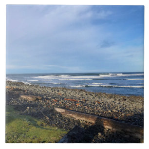 Carreau Cove at Seaside, Oregon