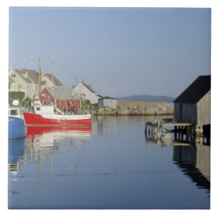 Carreau Cove de Peggy, Nouvelle-Écosse, Canada