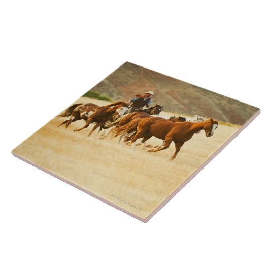 Carreau Cowboy vivant en troupe les chevaux 3 (Côté)