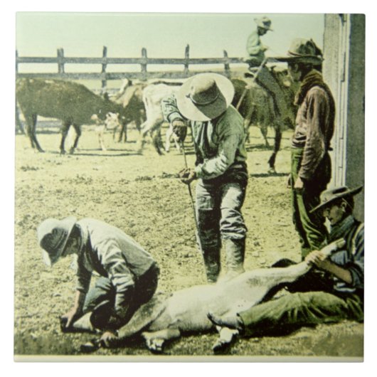 Carreau Cowboys américains stigmatisant un veau, c.1900 (Devant)