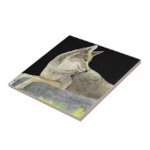 Carreau Coyote (Côté)