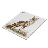 Carreau Coyote (Côté)