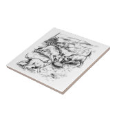 Carreau Coyote Pups (Côté)