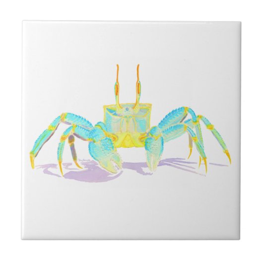 Carreau crab_6500_shirts (Devant)