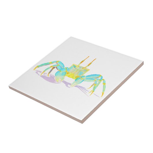 Carreau crab_6500_shirts (Côté)