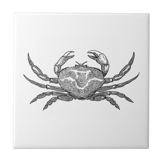 Carreau Crabe (Devant)