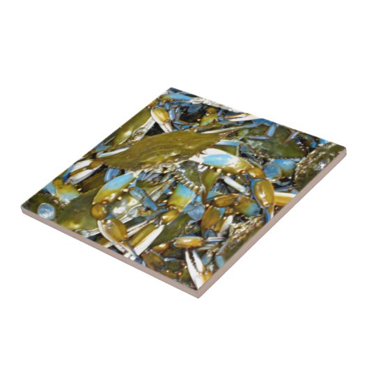 Carreau crabe bleu (Côté)