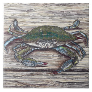 Carreau Crabe Bleu sur quai Carrelage photo en céramique