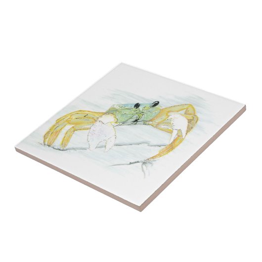 Carreau Crabe fantôme sur la plage (Côté)