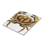 Carreau Crabe Vintage (Côté)