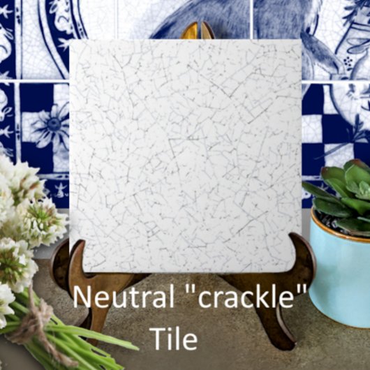 Carreau Cracké blanc - Look Vintage Antique Backsplash