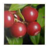 Carreau Cranberry (Devant)