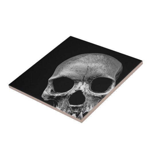 Carreau Crâne (Côté)