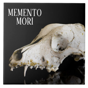 Carreau Crâne animal