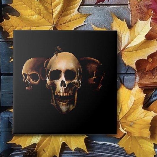 Carreau Crânes humains noirs