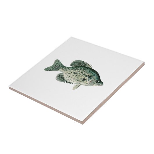 Carreau Crapet noir (Côté)