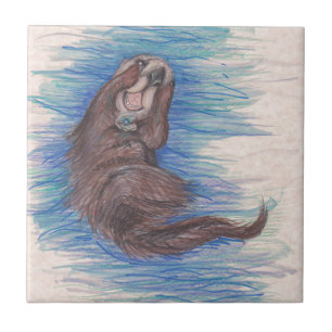 Carreau Créature d'animal sauvage de loutre de mer petite