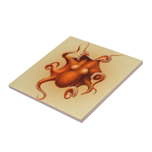 Carreau Créature du monstre de la mer d'Octopus Cephalapod (Côté)