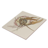 Carreau Créature fantastique Enchantant Art Nouveau Seder (Côté)