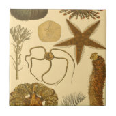 Carreau Créatures sous-marines (Devant)