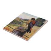 Carreau Crécerelle américaine sur une barrière de barbelé (Côté)