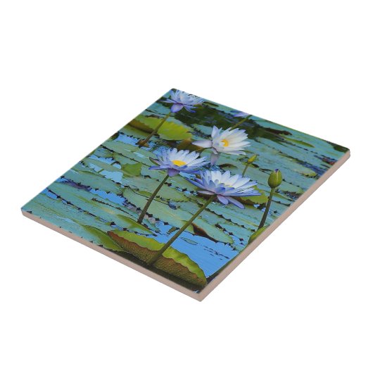 Carreau Créez votre propre tuile carré - nénuphars (Côté)