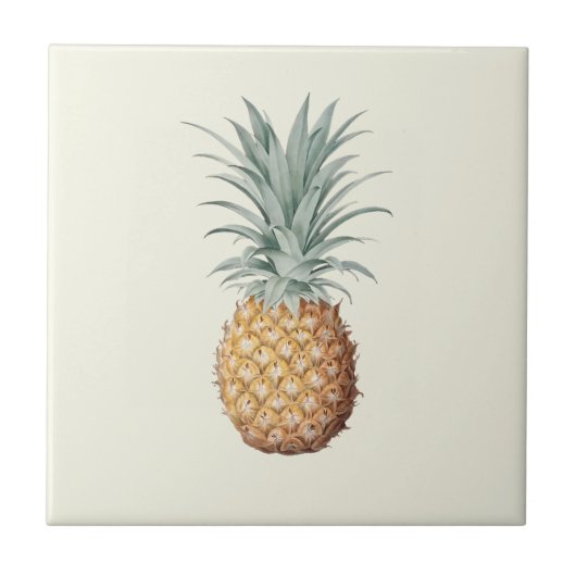 Carreau Crème d'ananas vintage (Devant)