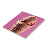 Carreau Crème glacée sur cône de crème glacée rose (Côté)