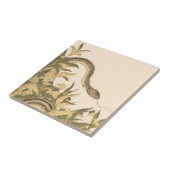 Carreau Crème Vintage serpent (Côté)