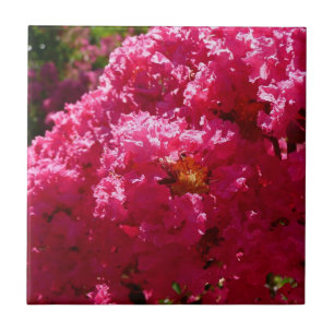 Carreau Crepe Myrtle Tree Magenta Floral