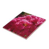 Carreau Crepe Myrtle Tree Magenta Floral (Côté)