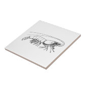 Carreau Crevette vintage (Côté)