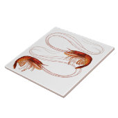 Carreau crevettes de Louisiane (Côté)