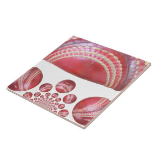 Carreau Crimson Spin - Une Belle Balle Rouge De Cricket Ar