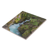 Carreau Crique d'Avalanche, Parc national des Glaciers, Mo (Côté)