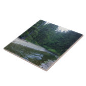 Carreau Crique de Cummins au parc national Neptune, OU (Côté)