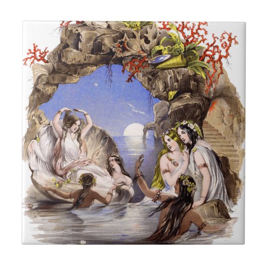 Carreau Crique de sirène (Devant)