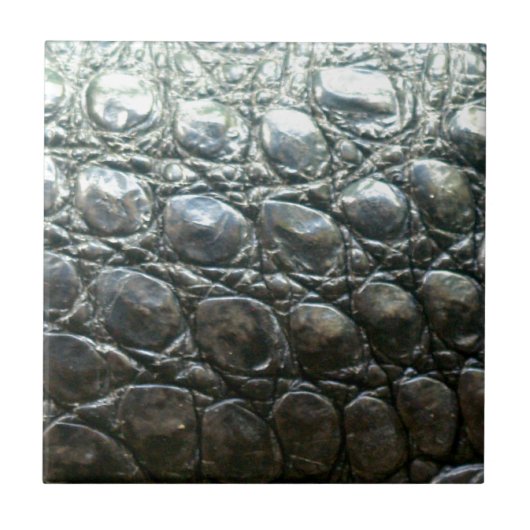 Carreau Crocodile Caiman Faux Alligator-Skin Design (Devant)