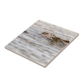 Carreau Crocodile du Nil (Côté)