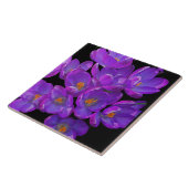Carreau Crocus de printemps violets sur fond floral noir (Côté)
