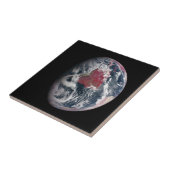 Carreau Croissance plante Sur La Planète Terre. (Côté)