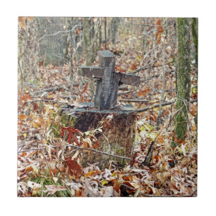 Carreau Croix dans les bois