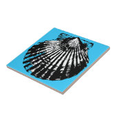 Carreau Croquis de coquillage (Côté)