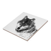 Carreau Croquis de loup gris (Côté)