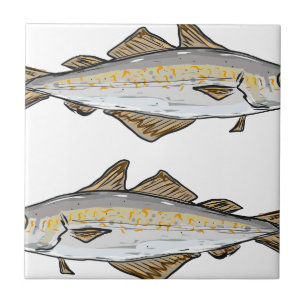 Carreau Croquis de poissons de colin