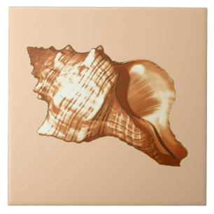 Carreau Croquis en coquille de cône - brun, blanc et bronz