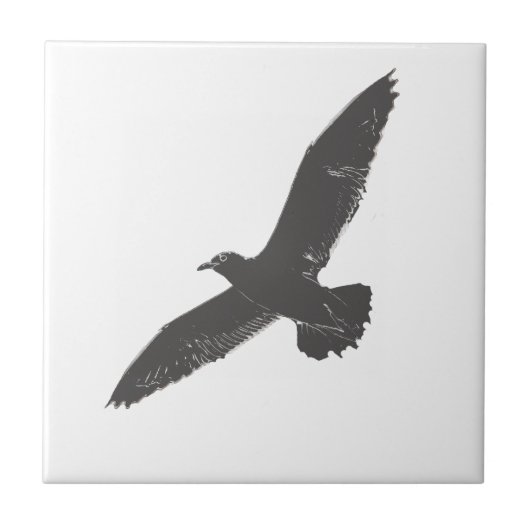 Carreau Croquis Flying Seagull Wings (Devant)