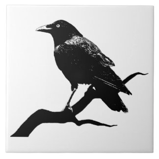 Carreau Crow (homonymie)