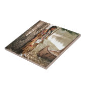 Carreau Cru 1897 de Hiawatha de Natif américain de (Côté)